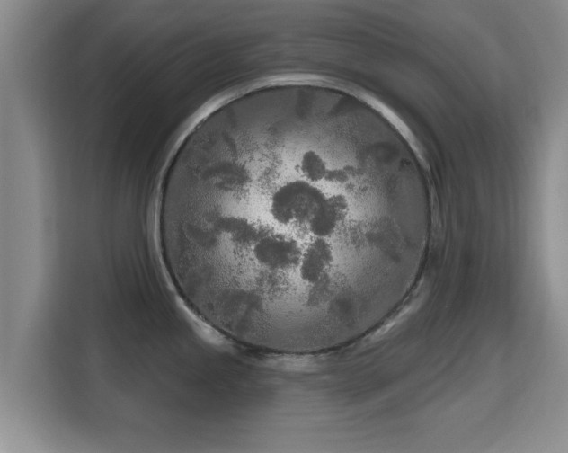 X0000115691245200911191107