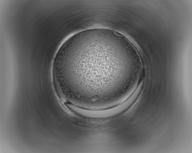 X0000115691246200911191107