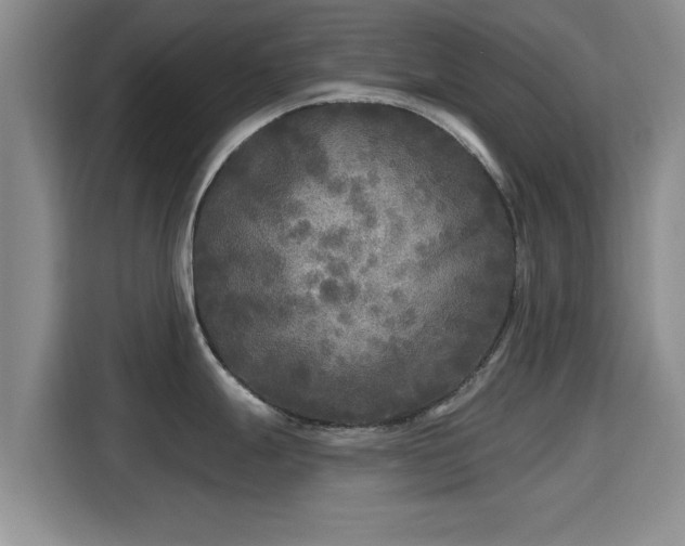 X0000115691247200911191107