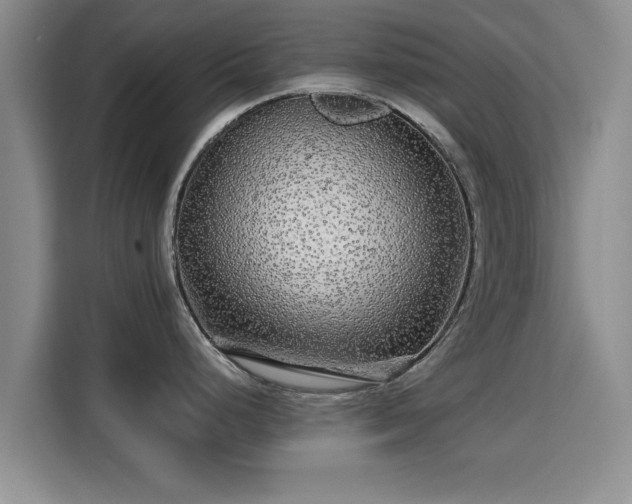 X0000115691248200911191107