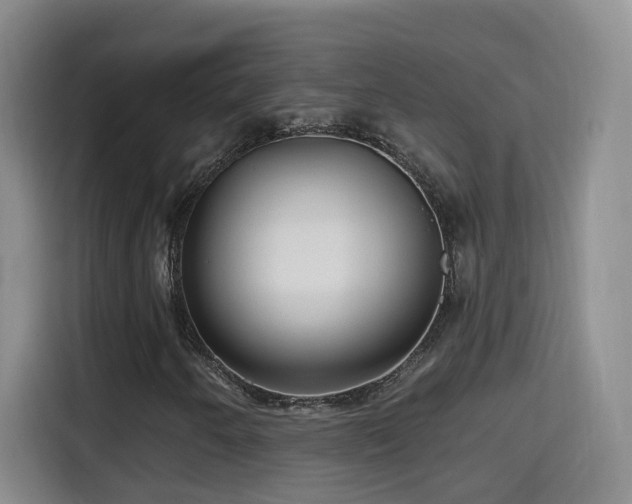 X0000115691250200911191107