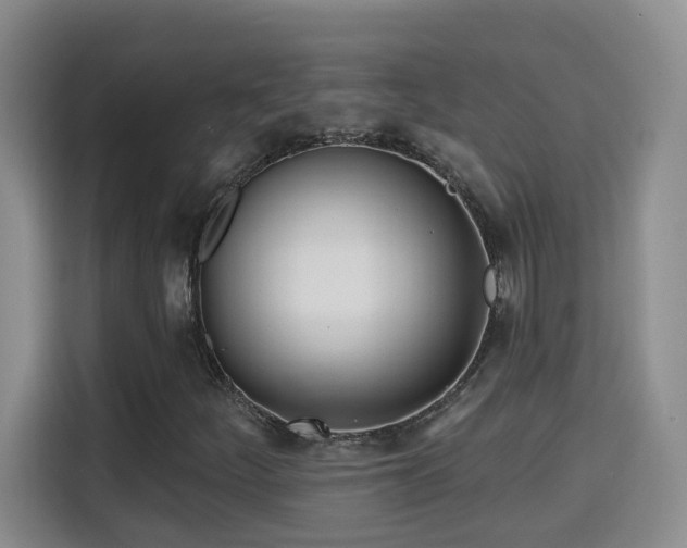 X0000115691252200911191107