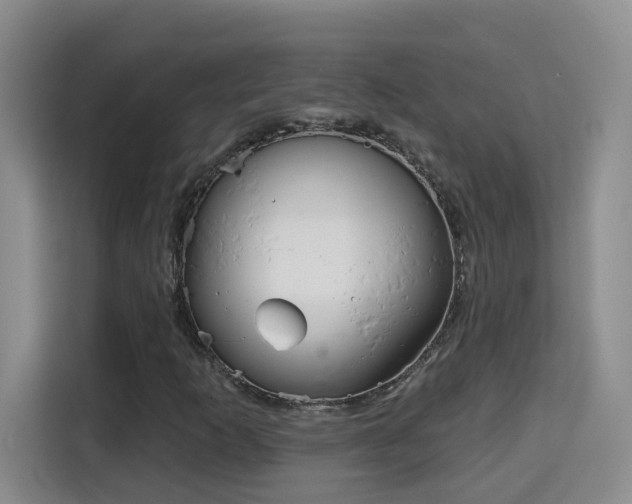 X0000115691253200911191107