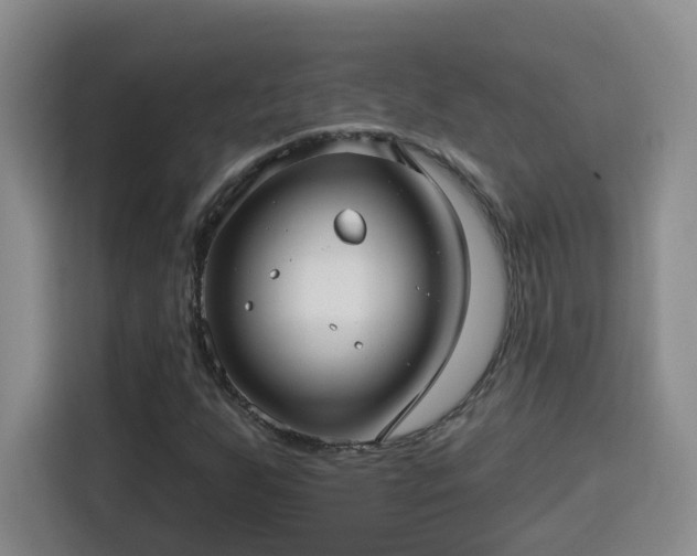 X0000115691255200911191107