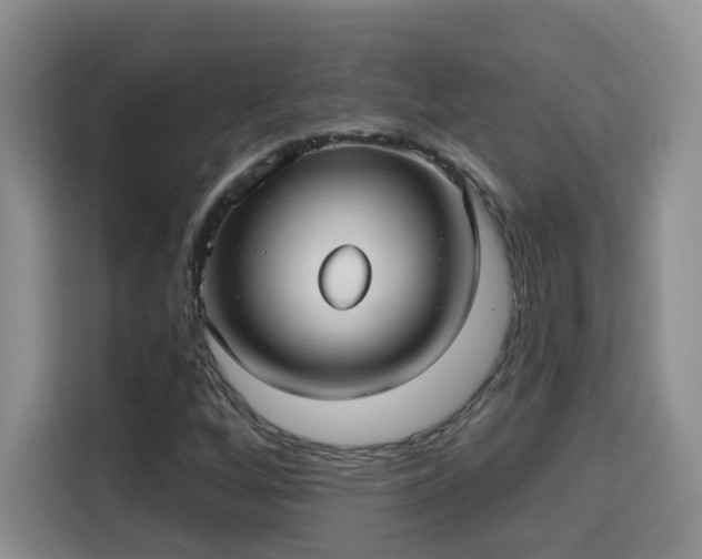 X0000115691256200911191107