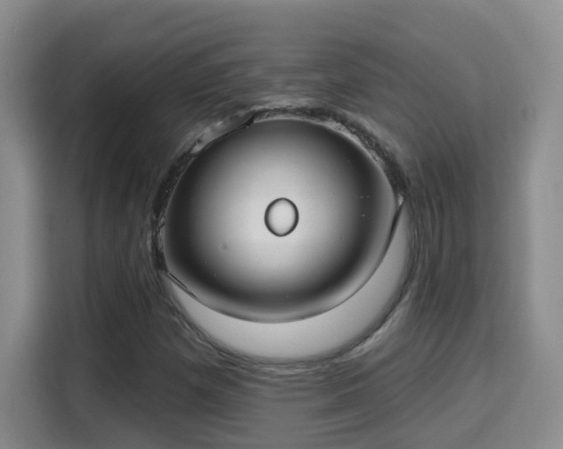 X0000115691257200911191107