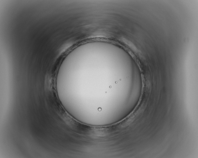 X0000115691258200911191107