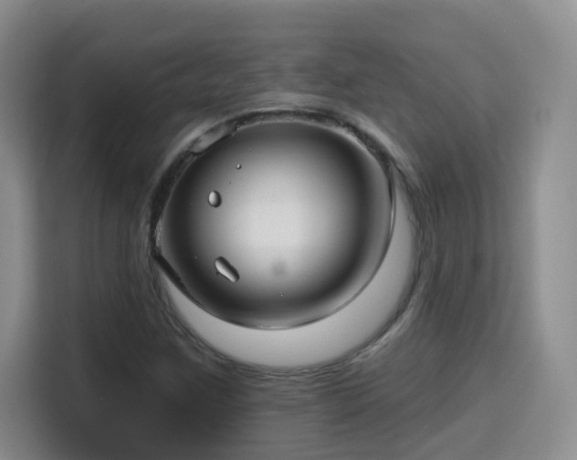 X0000115691259200911191107