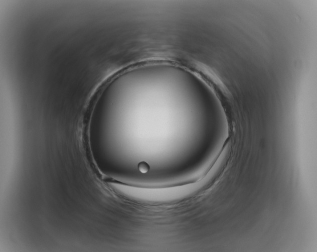 X0000115691260200911191107