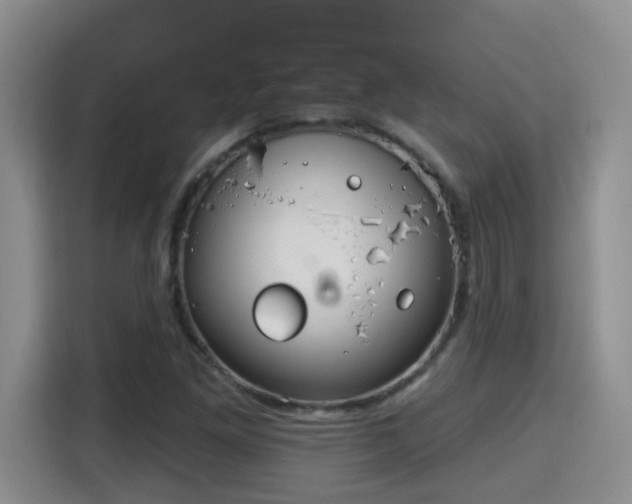 X0000115691261200911191107