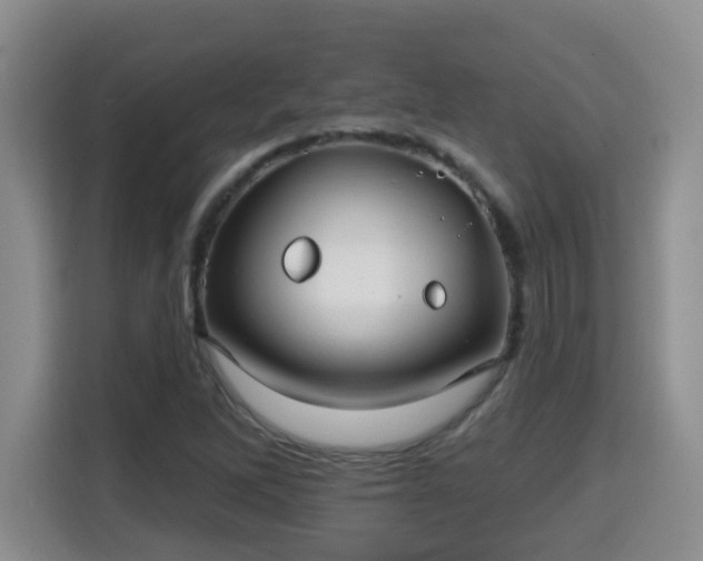 X0000115691262200911191107