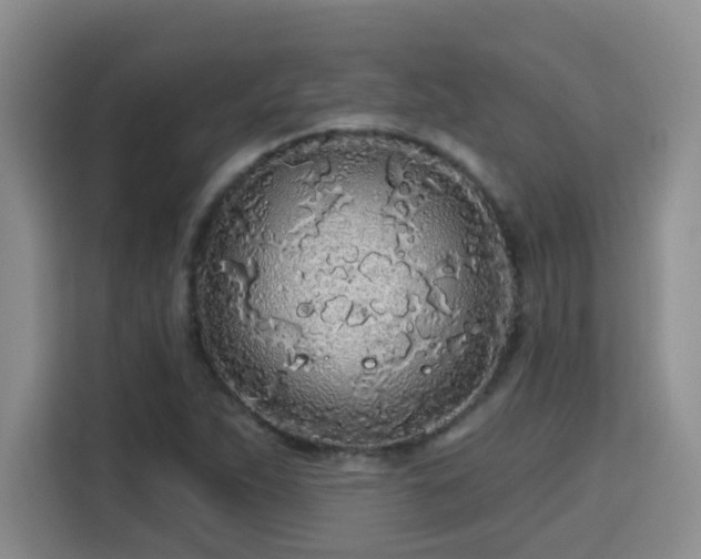 X0000115691263200911191107