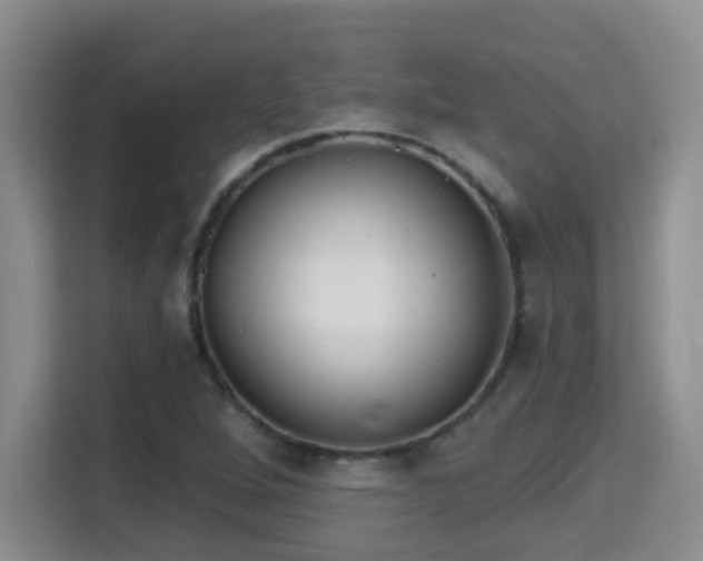 X0000115691264200911191107