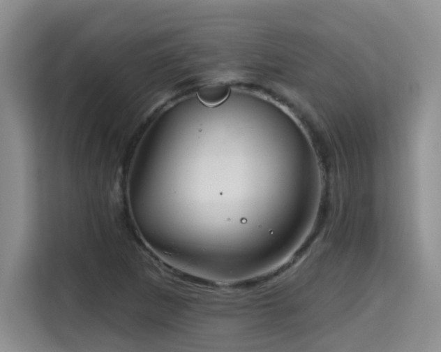 X0000115691265200911191107