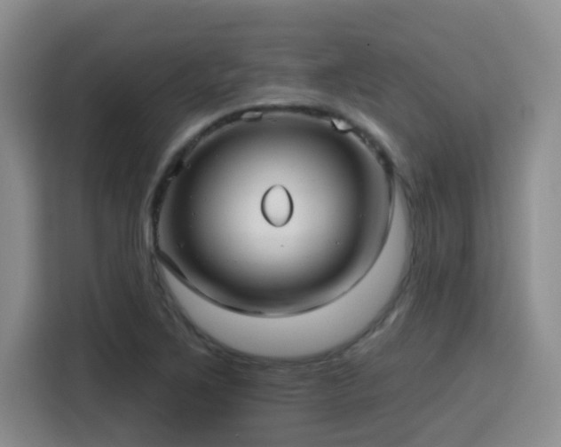 X0000115691267200911191107