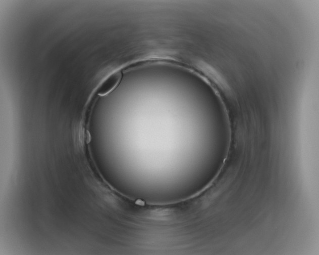 X0000115691268200911191107