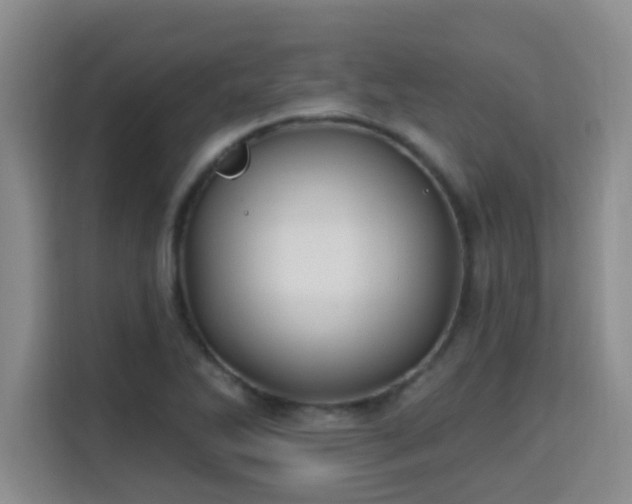 X0000115691270200911191107