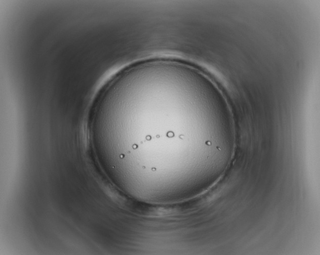 X0000115691271200911191107