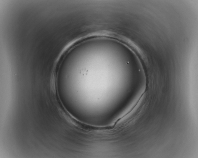 X0000115691272200911191107