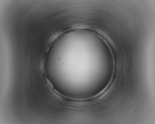 X0000115691273200911191107