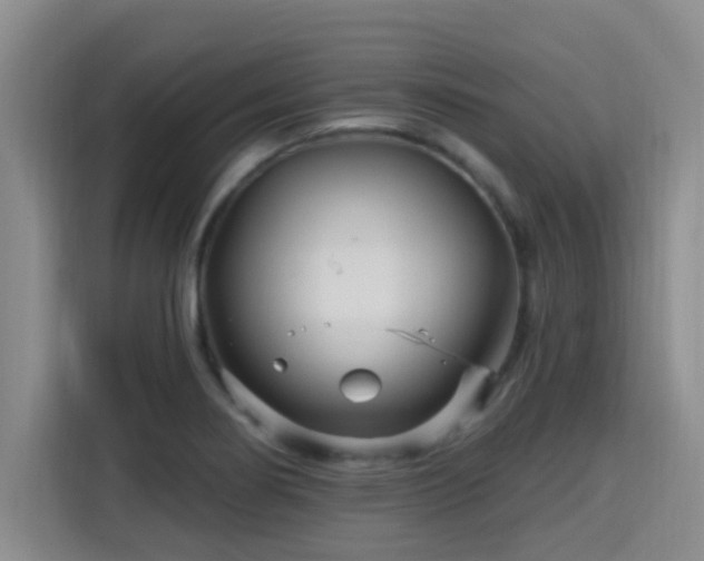 X0000115691274200911191107