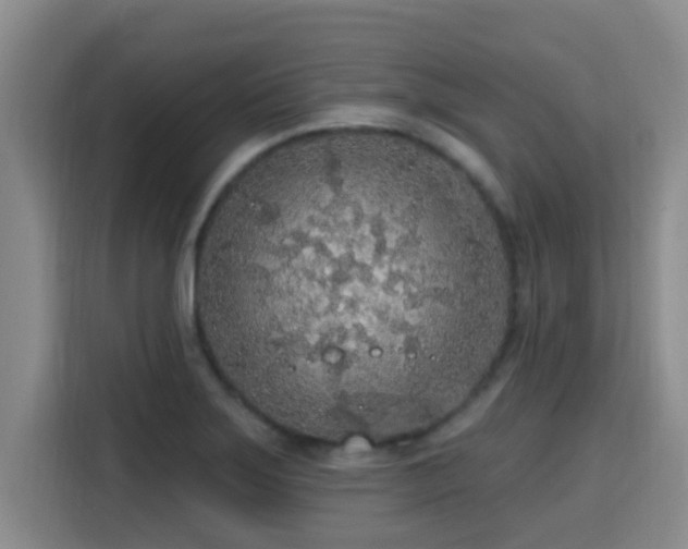 X0000115691275200911191107