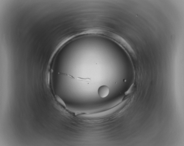 X0000115691276200911191107