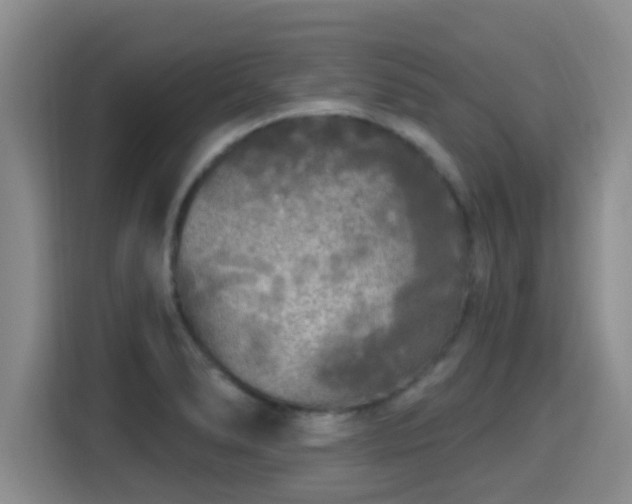 X0000115691278200911191106