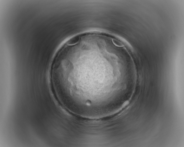 X0000115691279200911191106