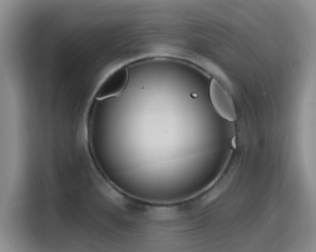 X0000115691280200911191106