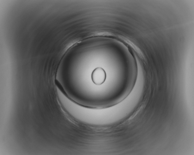 X0000115691281200911191106