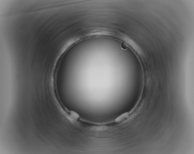 X0000115691282200911191106