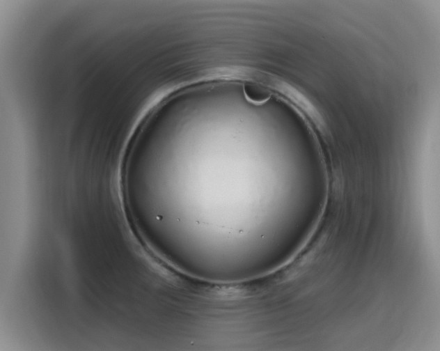 X0000115691283200911191106