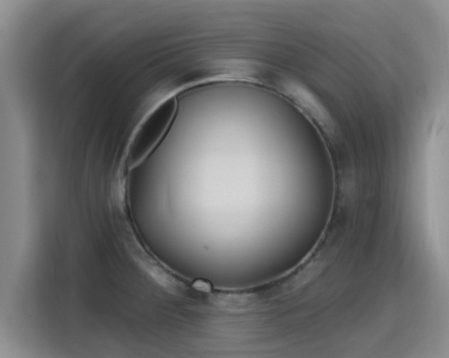 X0000115691284200911191106