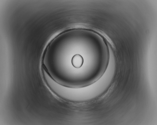 X0000115691285200911191106