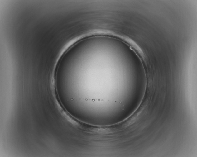 X0000115691287200911191106