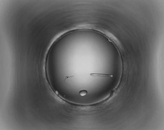 X0000115691288200911191106