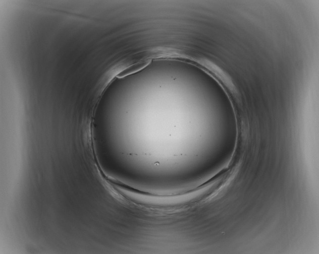 X0000115691289200911191106