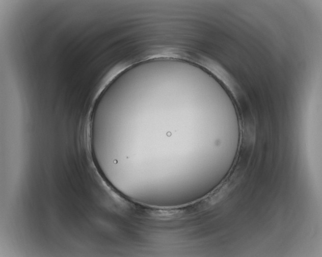 X0000115691290200911191106