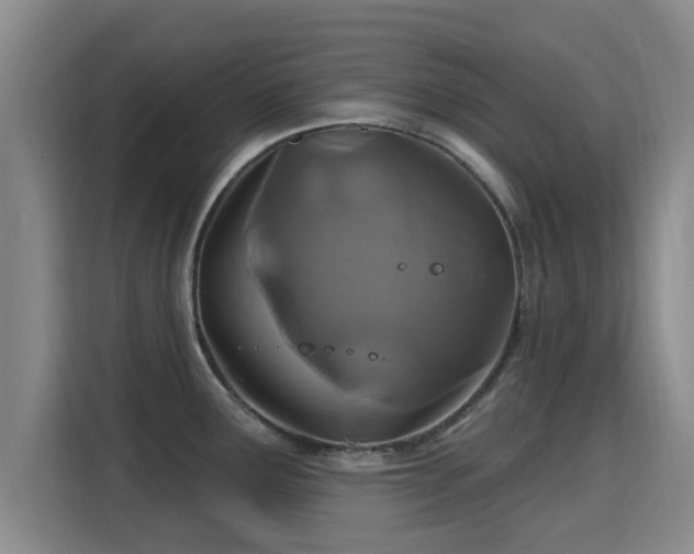 X0000115691291200911191106