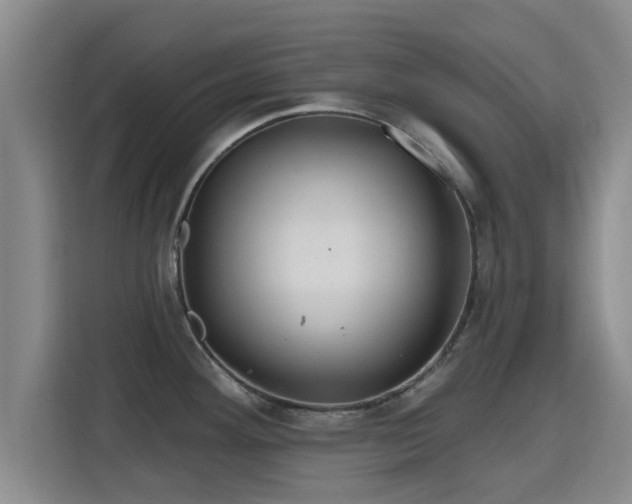 X0000115691292200911191106