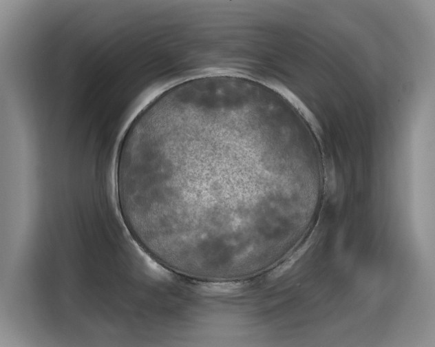 X0000115691294200911191106