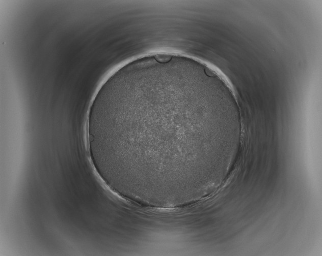 X0000115691295200911191106