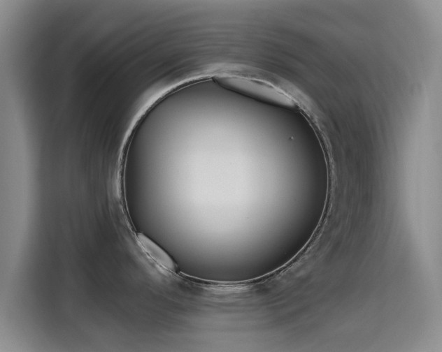 X0000115691296200911191106