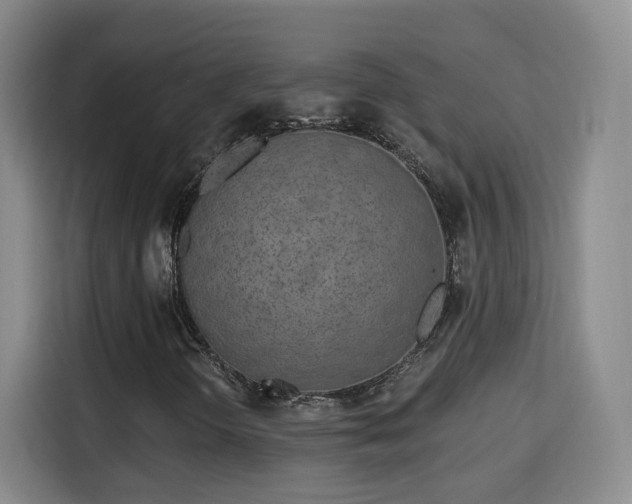 X0000115691298200911191106