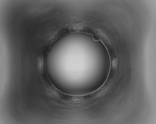 X0000115691299200911191106