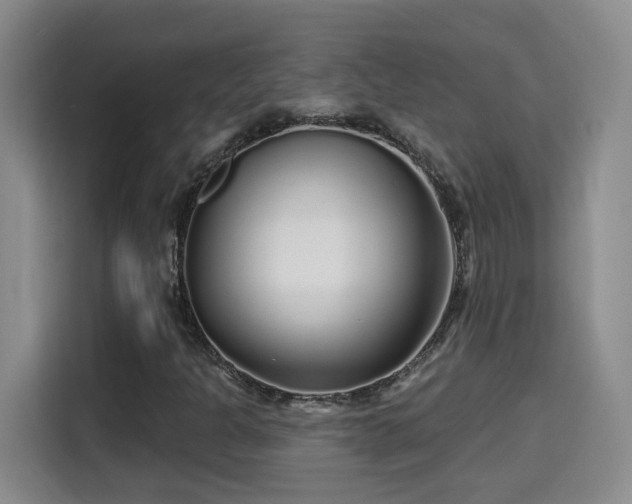 X0000115691301200911191106