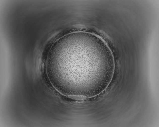 X0000115691302200911191106