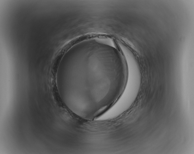 X0000115691303200911191106