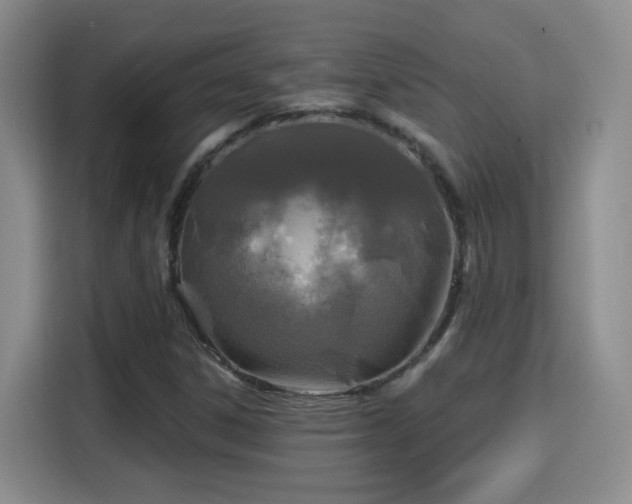 X0000115691306200911191106